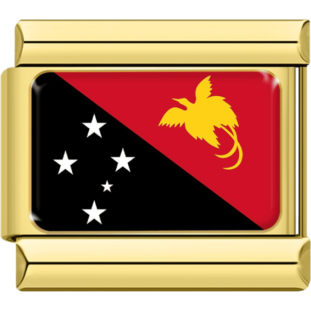 Flag of Papua New Guinea with black and red diagonal sections, white Southern Cross stars and a yellow Raggiana bird-of-paradise inside a gold charm frame